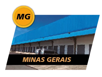 CD Minas Gerais — Ribeirão das Neves